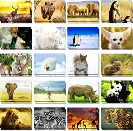 Wild Animal Greeting Postcards – Fun and Educational Designs for Kids, Teachers & Animal Lovers